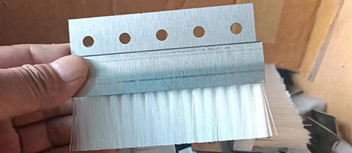 Strip Brush With Mounting Holes